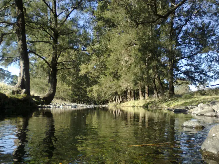 Main view of Homely rural property listing, 2118 PEMBROKE ROAD, Cassilis NSW 2329