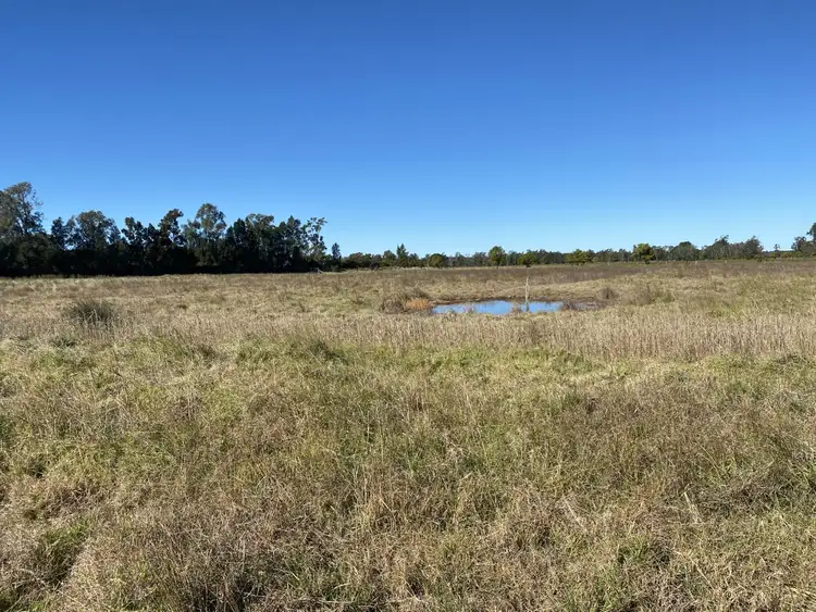 Seventh view of Homely rural property listing, 18444 Pacific Highway, Jones Island NSW 2430