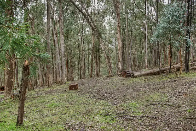 Sixth view of Homely land listing, 56 Bluegum Crescent, Bonnie Doon VIC 3720