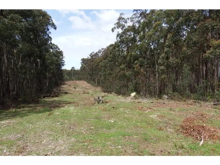 Second view of Homely land listing, 59C Hickeys Road, Trentham VIC 3458
