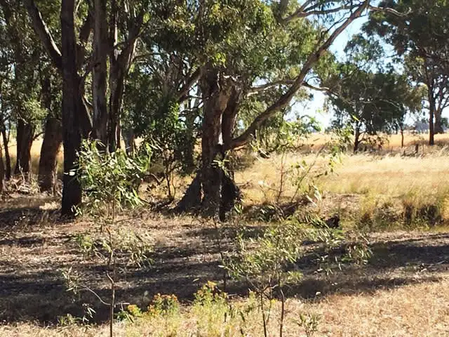 Fourth view of Homely rural property listing, Cnr Northern Highway & Carmody Road (2), Toolleen VIC 3551