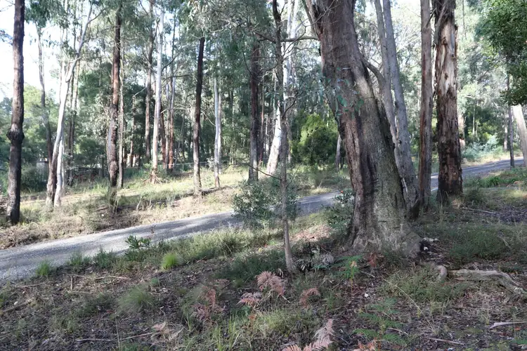 Fifth view of Homely land listing, 12 Cann Street, Blackwood VIC 3458