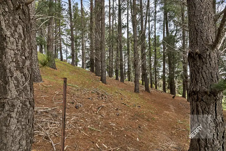 Sixth view of Homely rural property listing, 77 Shobbrook Road, Flaxley SA 5153