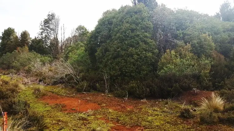 Second view of Homely land listing, LOT 01 Waratah Road, Waratah TAS 7321