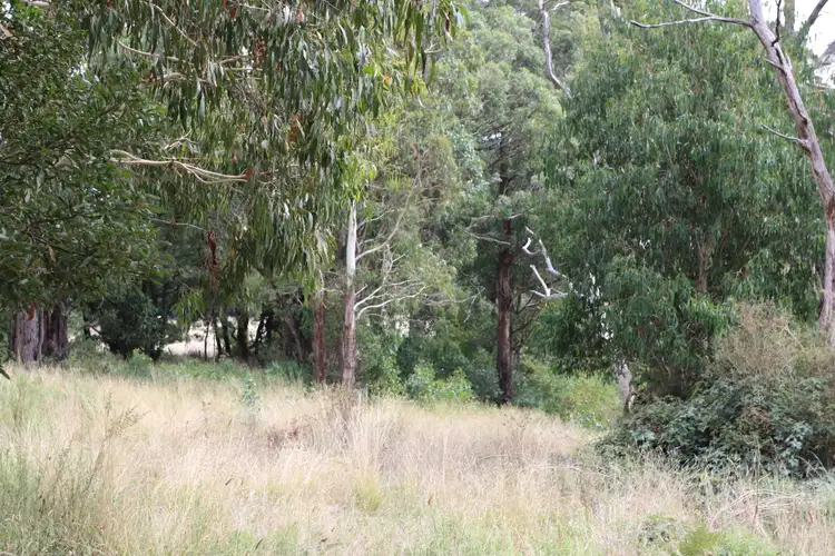 Second view of Homely land listing, Bush Block 90 Beaches Lane, Newbury VIC 3458