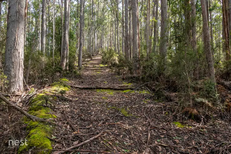 Seventh view of Homely land listing, 405 Whittons Road, Kettering TAS 7155