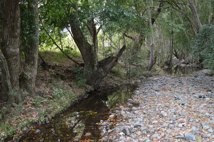 Main view of Homely rural property listing, 101 AHERNS ROAD, Conondale QLD 4552