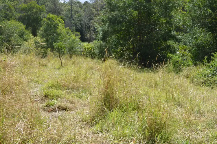 Fourth view of Homely rural property listing, 101 AHERNS ROAD, Conondale QLD 4552