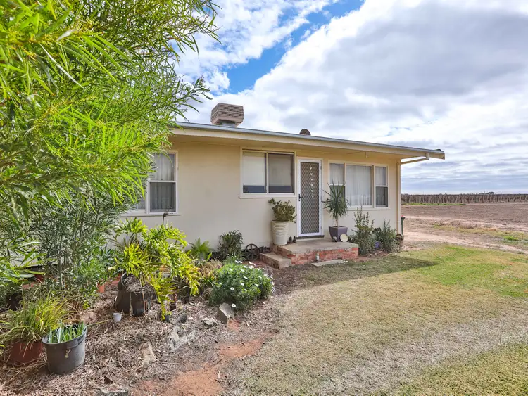 Fifth view of Homely house listing, 705 Walnut Avenue, Mildura VIC 3500