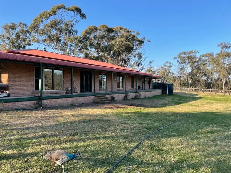 449 Redmanvale Road, Jerrys Plains NSW 2330