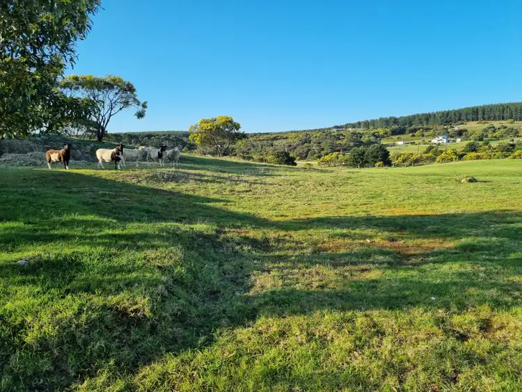 Fourth view of Homely land listing, LOT 821 Thomas Road, Rocky Camp SA 5280