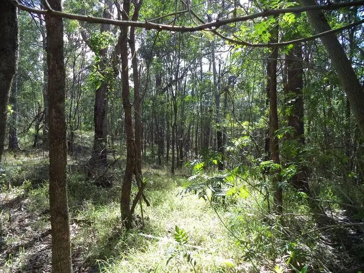 Sixth view of Homely land listing, 26 Narrabri Court, Gaven QLD 4211