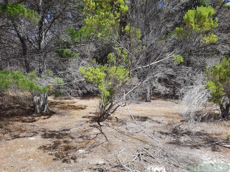 Third view of Homely land listing, LOT 258 Mitchell Drive, Pelican Lagoon SA 5222
