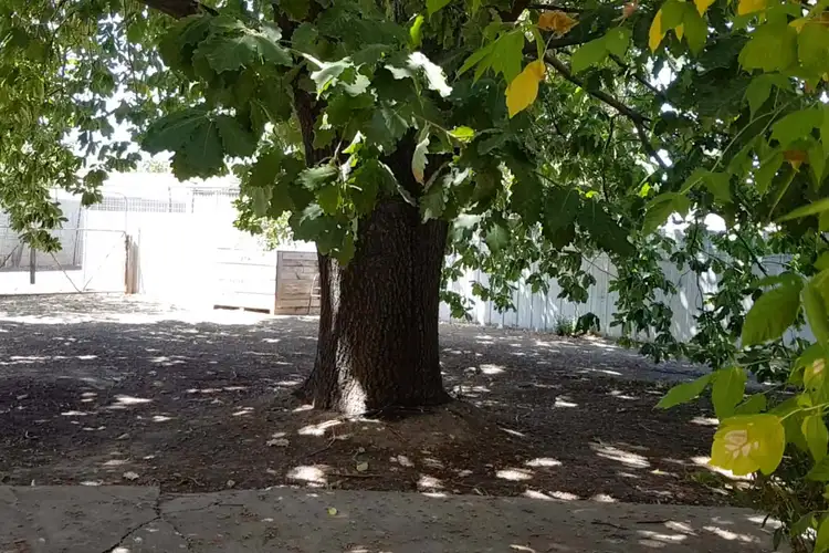 Third view of Homely house listing, 16 Taylor Street, Maryborough VIC 3465