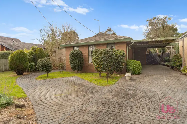 20 Larch Street, Langwarrin VIC 3910