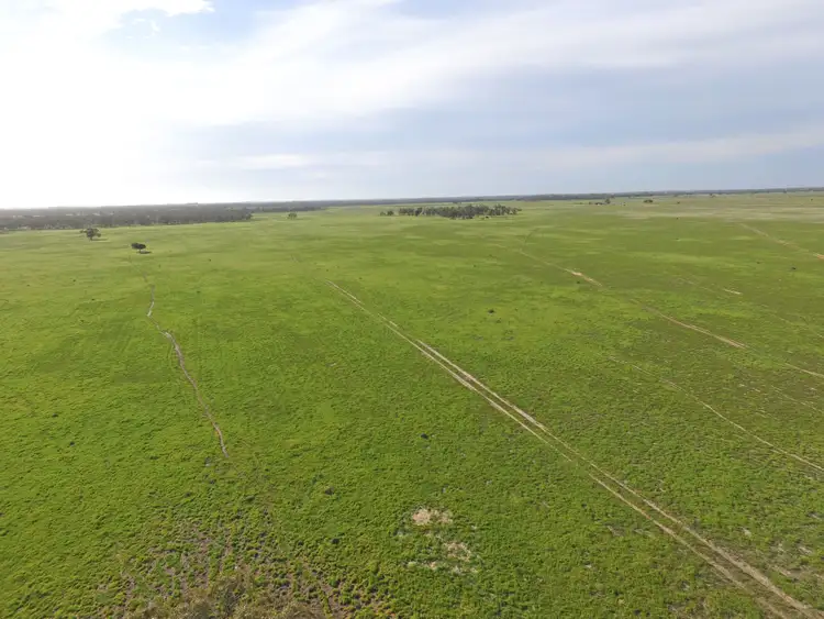 Seventh view of Homely rural property listing, 0 Bael Bael-Boga Road, Mystic Park VIC 3579