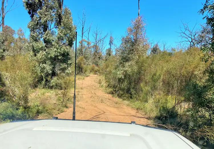 Main view of Homely rural property listing, 12392 GOLDEN HIGHWAY, Uarbry NSW 2329
