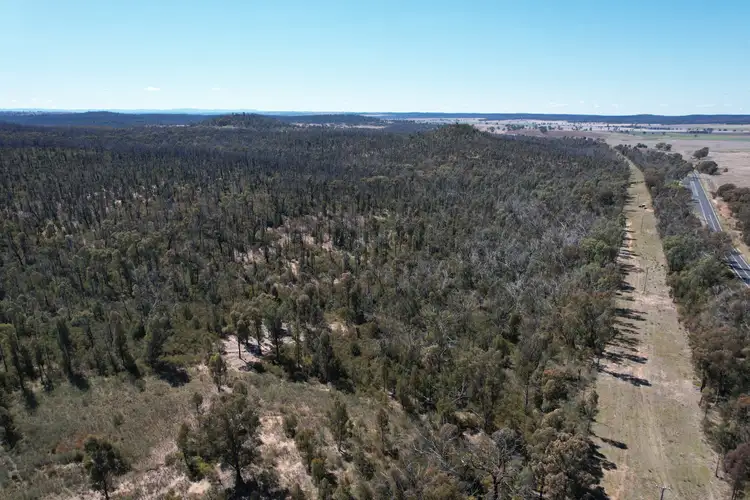 Sixth view of Homely rural property listing, 12392 GOLDEN HIGHWAY, Uarbry NSW 2329