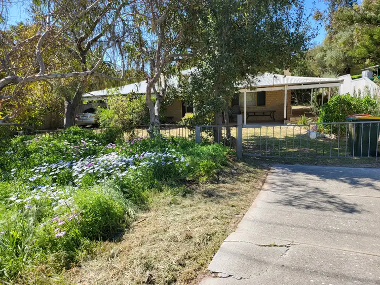 Main view of Homely house listing, 41 Two Rocks Road, Two Rocks WA 6037