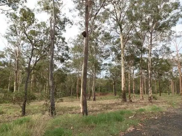 Lot 1 Chisholms Road, Gin Gin QLD 4671