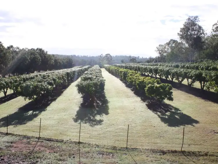 Third view of Homely rural property listing, Address available on request