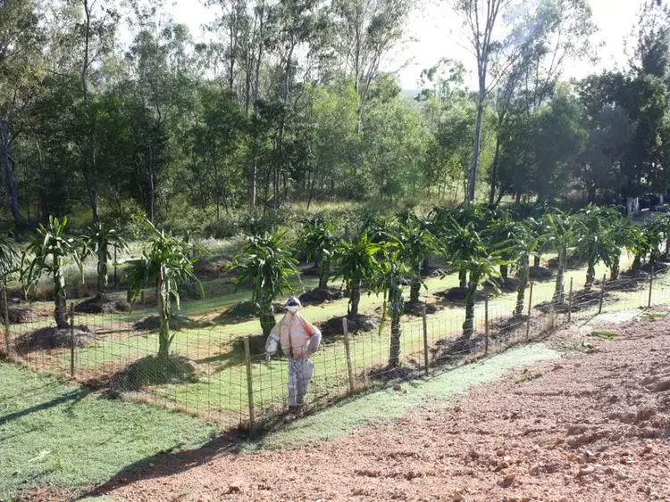 Fourth view of Homely rural property listing, Address available on request