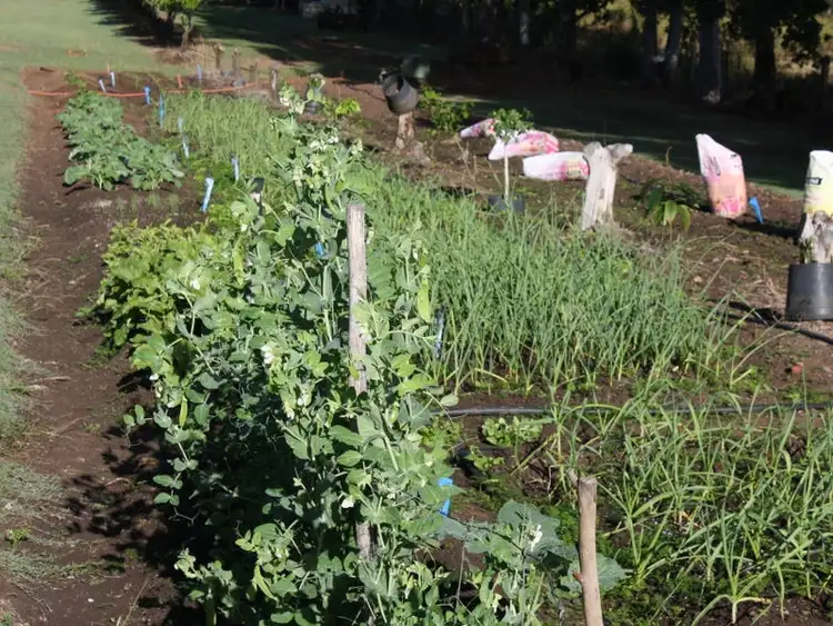 Seventh view of Homely rural property listing, Address available on request