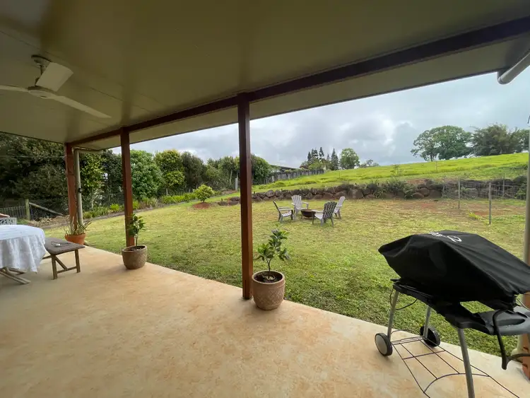 Third view of Homely house listing, 3 Lillypilly Lane, Yungaburra QLD 4884