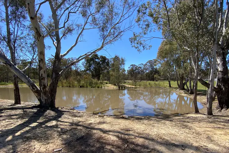 Fourth view of Homely rural property listing, 220 Peacock Track, Lillicur VIC 3371