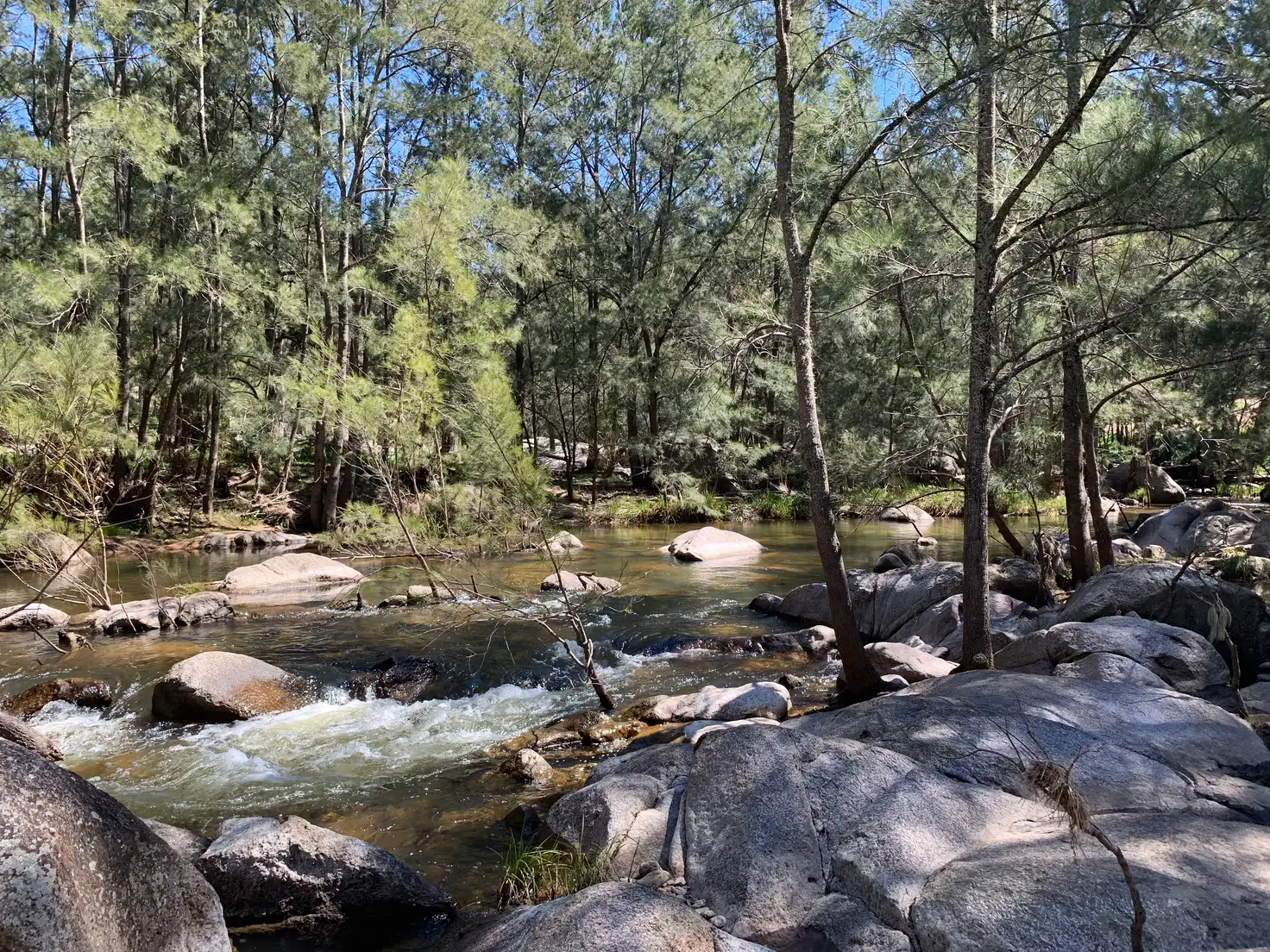 Main view of Homely house listing, 264 Megalong Place, Kanimbla NSW 2790