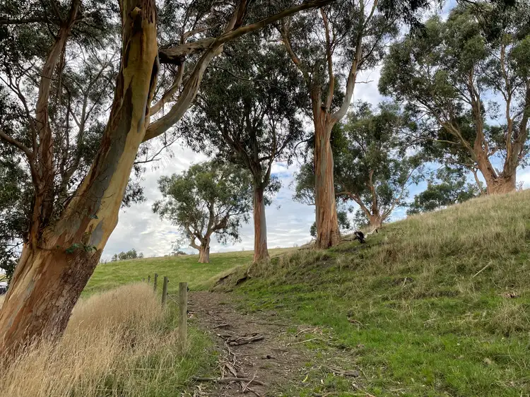 Third view of Homely rural property listing, 1045 Bena-Kongwak Road, Bena VIC 3946