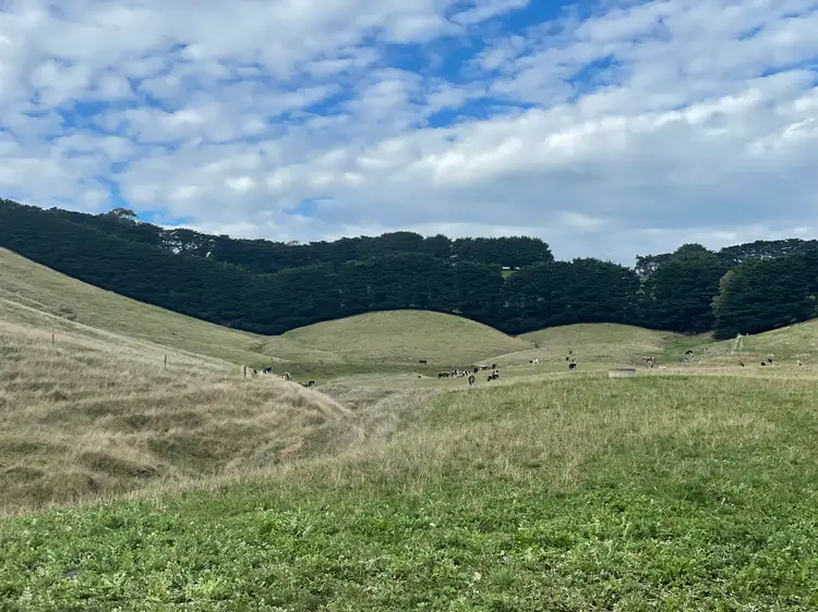 Seventh view of Homely rural property listing, 1045 Bena-Kongwak Road, Bena VIC 3946