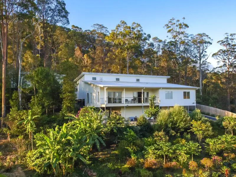 Main view of Homely house listing, 24 Tuckers Creek, Nambour QLD 4560
