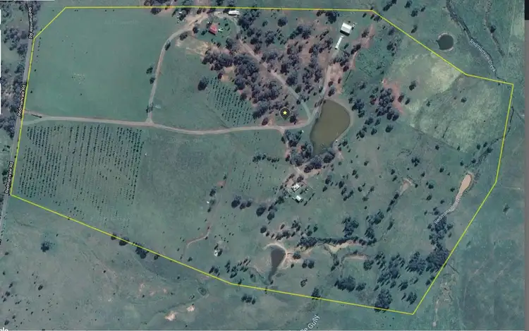 207 Redmanvale Road, Jerrys Plains NSW 2330