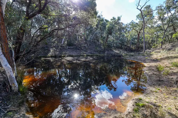 Second view of Homely rural property listing, 65 Durkin Road, Windellama NSW 2580