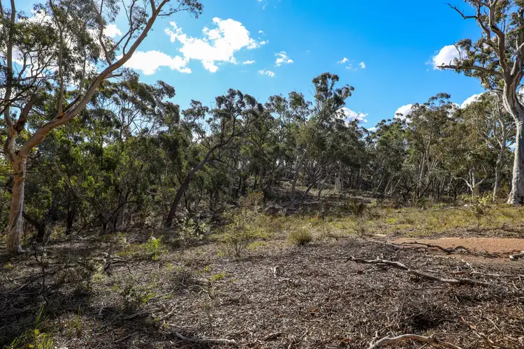 Fourth view of Homely rural property listing, 65 Durkin Road, Windellama NSW 2580