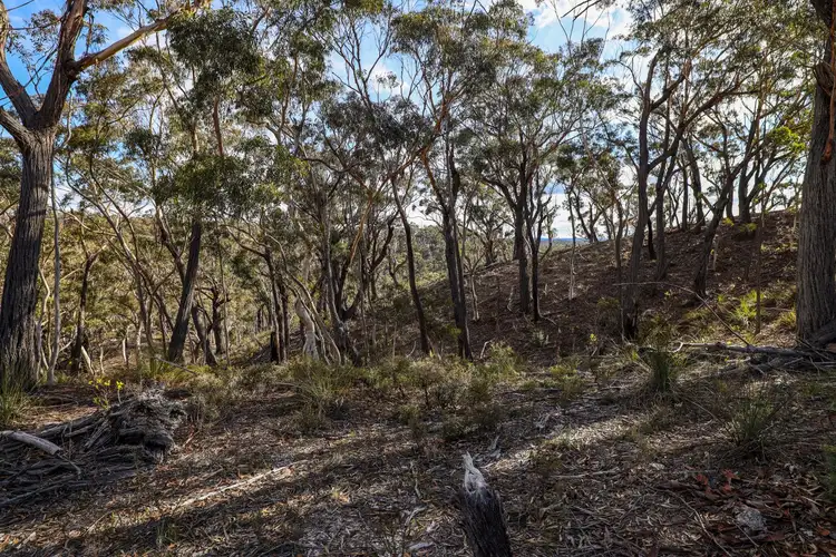 Fifth view of Homely rural property listing, 65 Durkin Road, Windellama NSW 2580