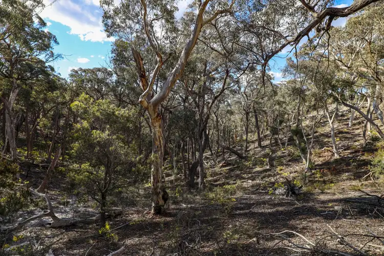 Sixth view of Homely rural property listing, 65 Durkin Road, Windellama NSW 2580