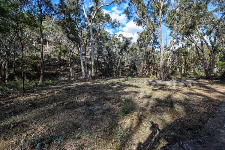 Seventh view of Homely rural property listing, 65 Durkin Road, Windellama NSW 2580