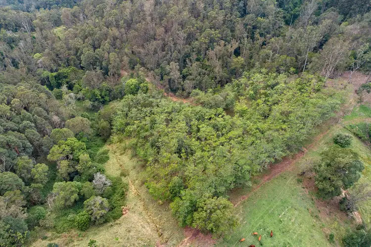 Sixth view of Homely land listing, Lot 177 Kirbys Road, Obi Obi QLD 4574