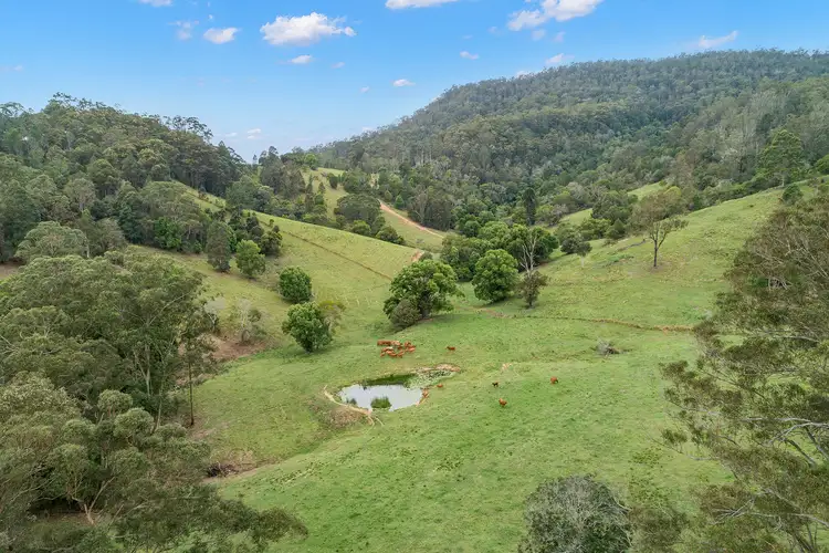Seventh view of Homely land listing, Lot 177 Kirbys Road, Obi Obi QLD 4574