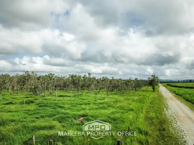 Second view of Homely rural property listing, LOT 157 Peters Road, Mareeba QLD 4880