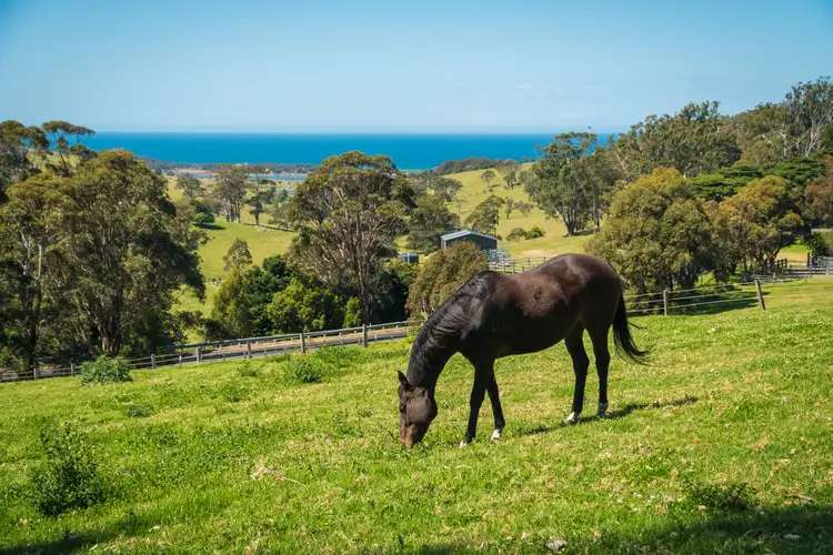 Third view of Homely rural property listing, 58 Sherringham Lane, Central Tilba NSW 2546