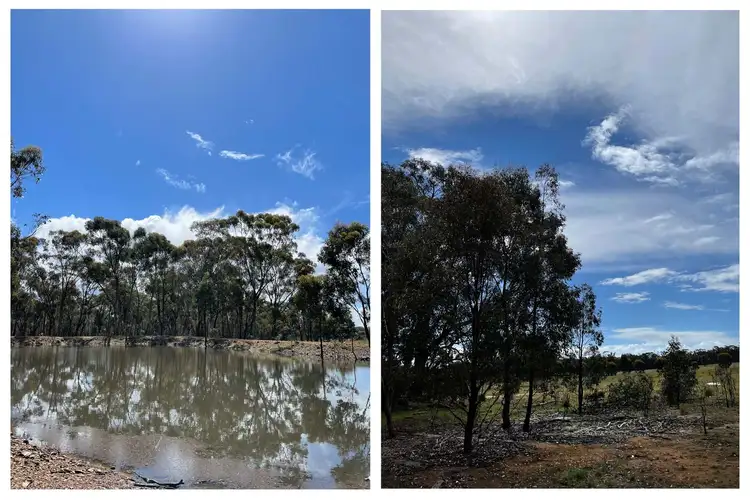 Third view of Homely land listing, 44 Cortesi Road, Bealiba VIC 3475
