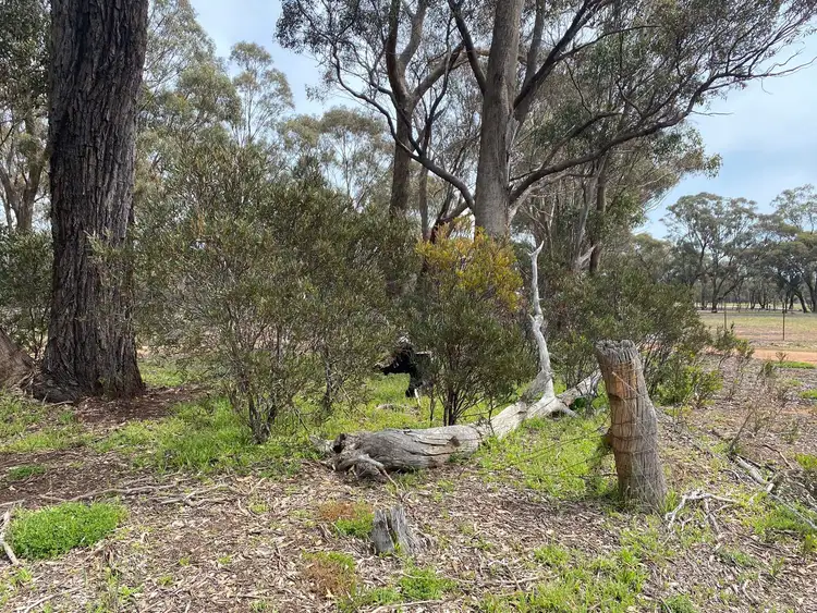 Seventh view of Homely land listing, 44 Cortesi Road, Bealiba VIC 3475