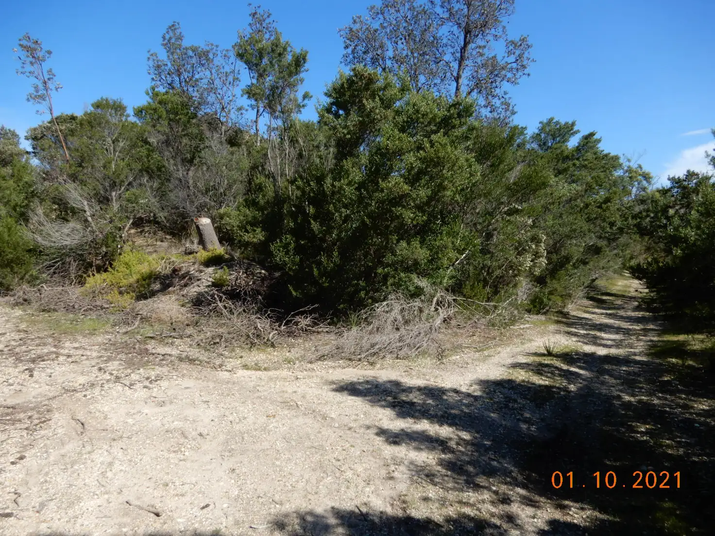 Main view of Homely land listing, 83 Flamingo Drive, Golden Beach VIC 3851