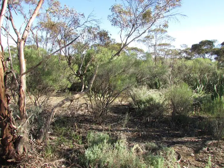 Third view of Homely land listing, LOT 82 + 83 Mahrong St, Lascelles VIC 3487