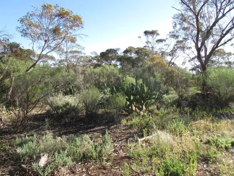Fourth view of Homely land listing, LOT 82 + 83 Mahrong St, Lascelles VIC 3487