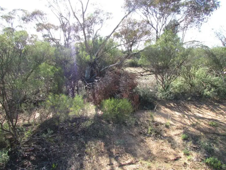 Sixth view of Homely land listing, LOT 82 + 83 Mahrong St, Lascelles VIC 3487