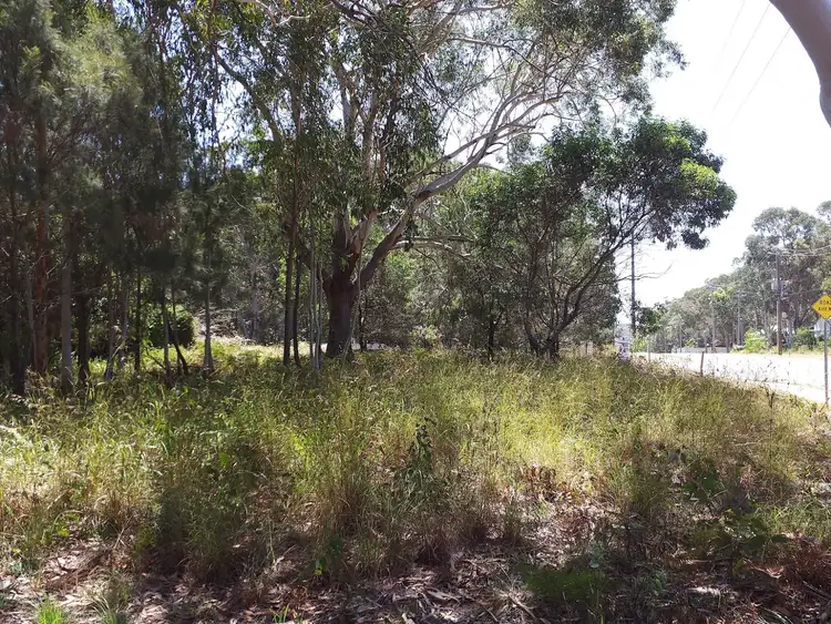 Main view of Homely house listing, 11-13 HEADLAND CIRCUIT, Russell Island QLD 4184